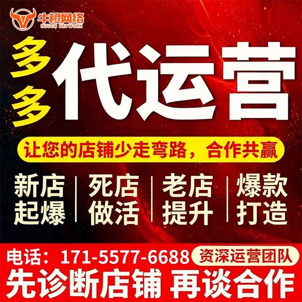 石狮电商代运营