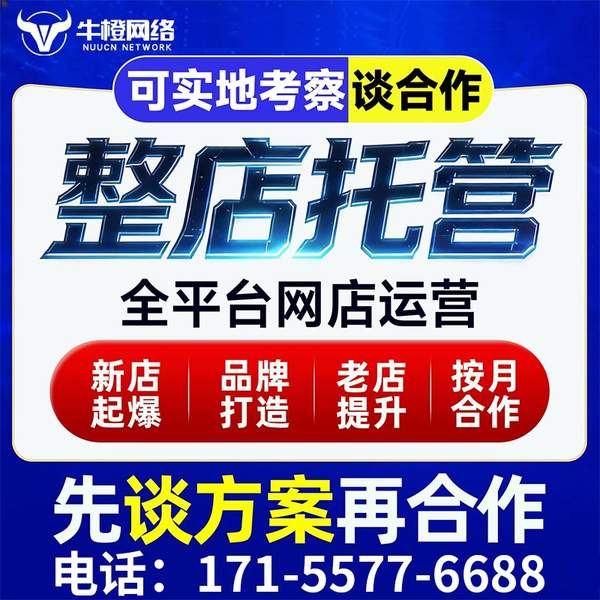 石狮电商代运营