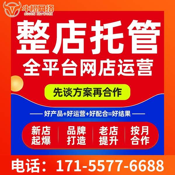 石狮电商代运营