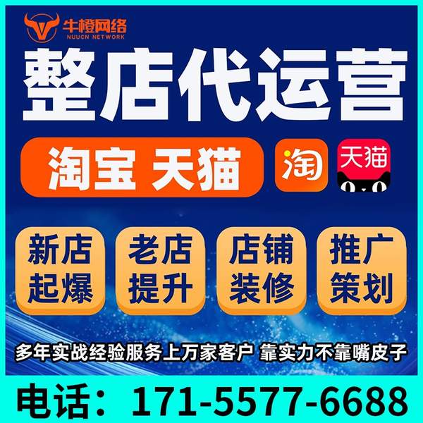 石狮电商代运营