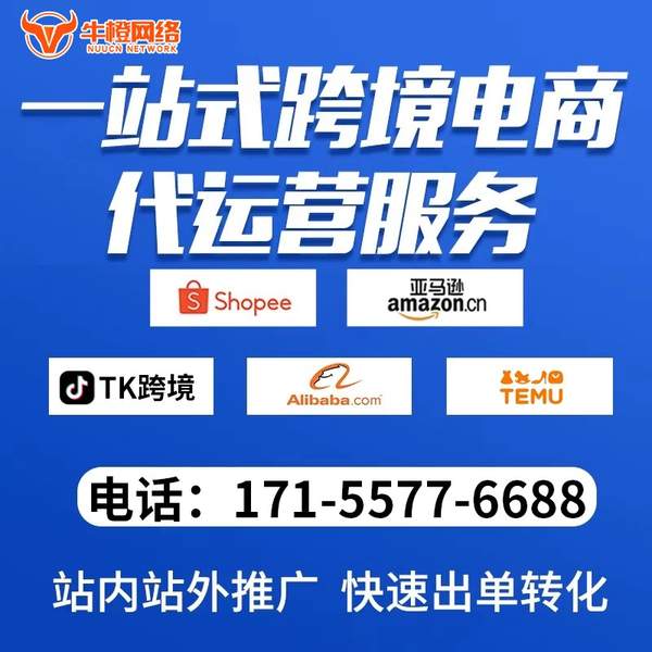 石狮电商代运营
