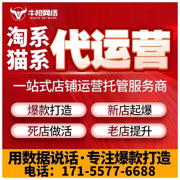 石狮电商代运营